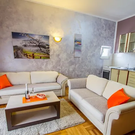 Nikola Pleasure Apartment Podgorica