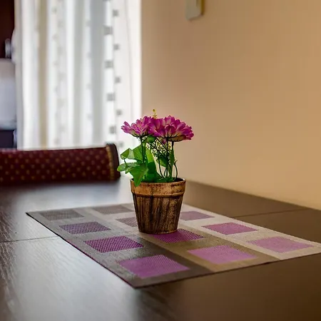 Nikola Pleasure * Podgorica